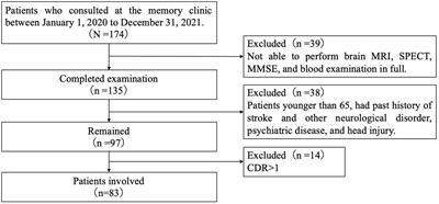Cerebral white matter lesions and regional blood flow are associated with reduced cognitive function in early-stage cognitive impairment